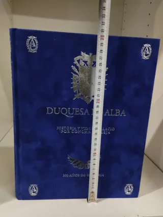 Duquesa de Alba historia y vida de palacio