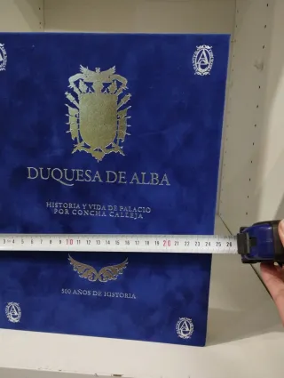 Duquesa de Alba historia y vida de palacio