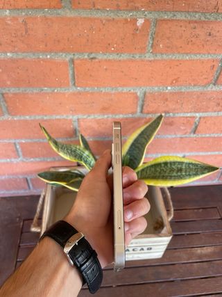 iPhone 12 blanco | 100% de batería