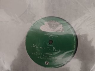 Green Day - Welcome To Paradise Vinile Verde