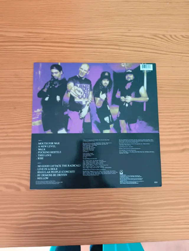 Vinilo Pantera Vulgar Display of Power