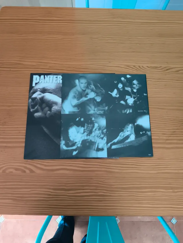 Vinilo Pantera Vulgar Display of Power