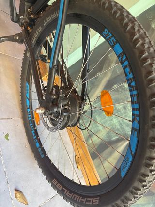 Bicicleta eléctrica Moscow 48V