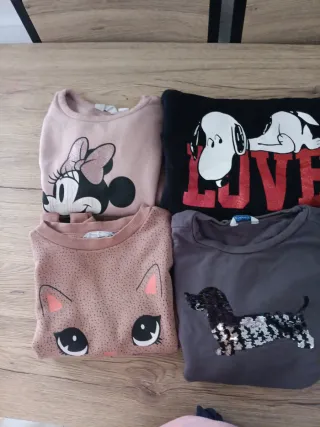 Lote 4 sudaderas niña (Minnie, Snoopy, Gato, Perro