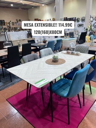 Mesa extensible 120(160)x80cm