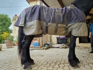 Coperta cavallo impermeabile