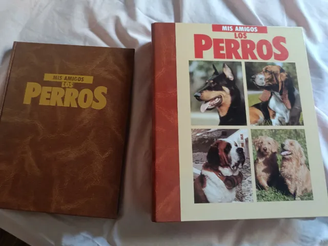 Mis amigos los perros