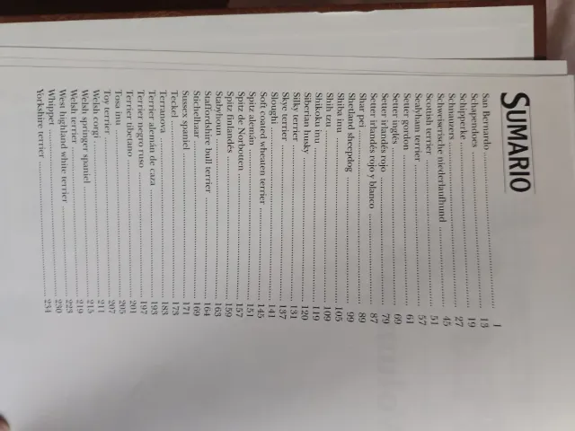 Mis amigos los perros