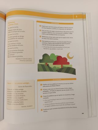 Lengua Castellana y Literatura 1º ESO -  9788468049342