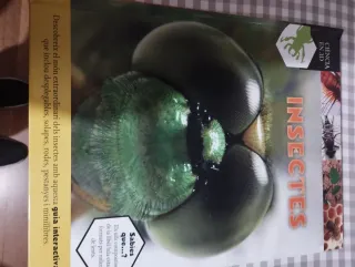 Insectes