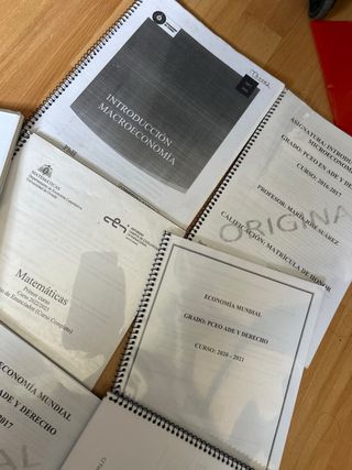 Lote de apuntes y libros universitarios