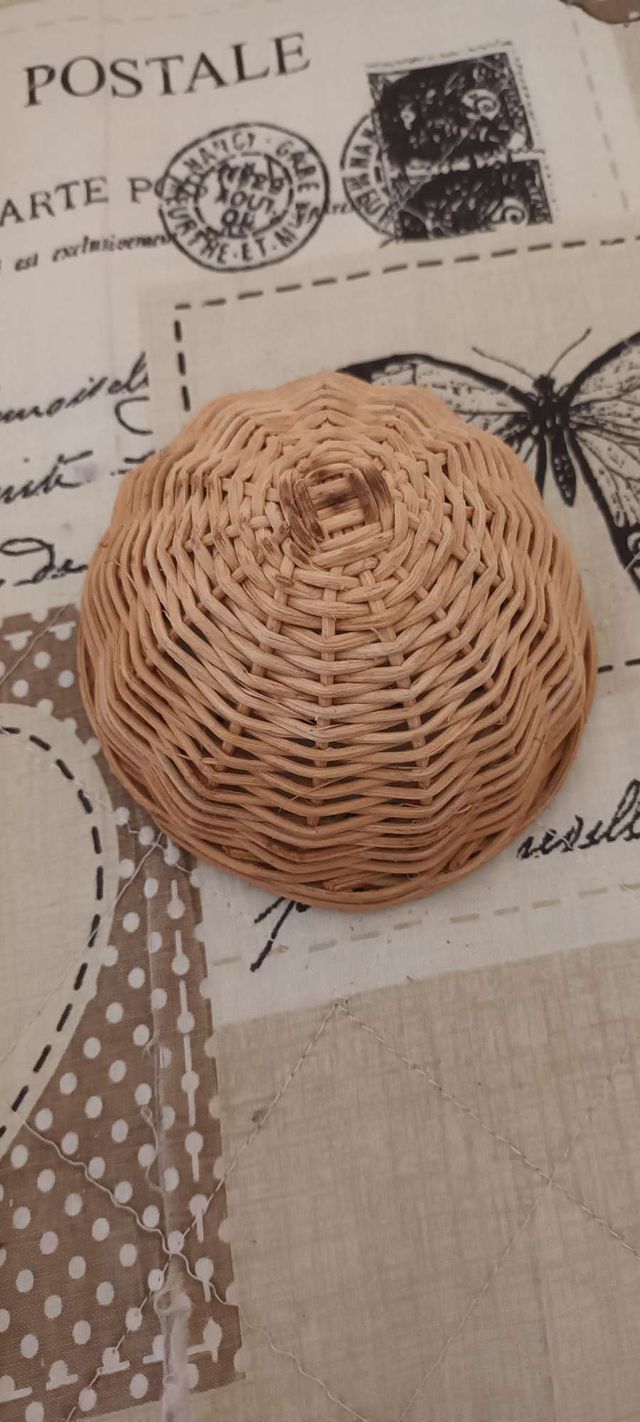 Nido e mangiatoia per uccelli nuovi