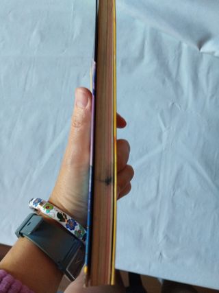 Lote de  Gerónimo Stilton , Humor y vialjes