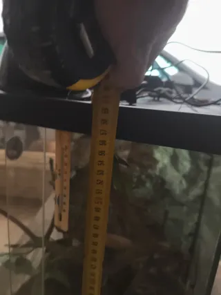 Terrario Vertical para Camaleón