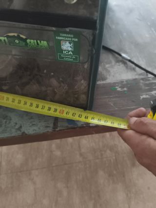 Terrario Vertical para Camaleón