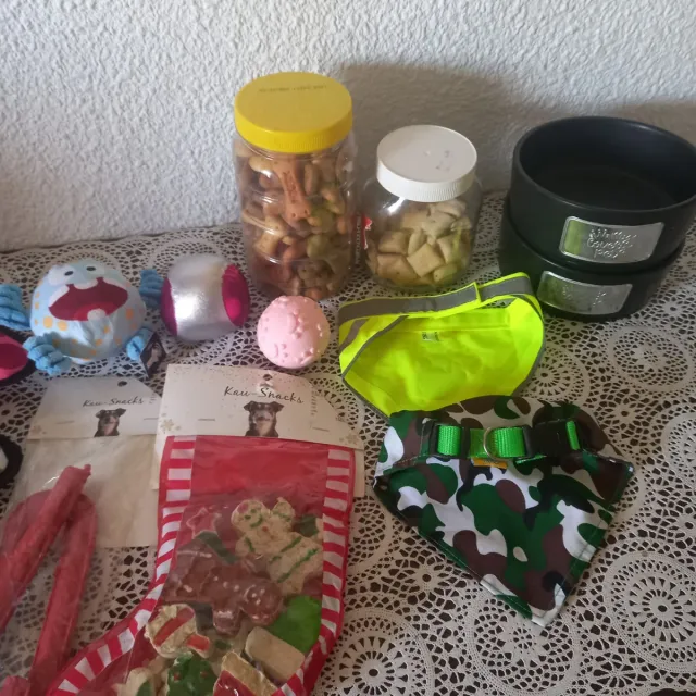 Lote Juguetes y Snacks para Perro