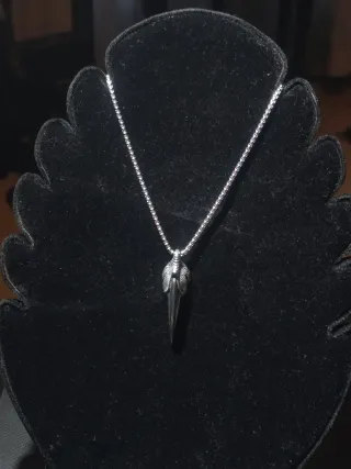 Collana artiglio argento