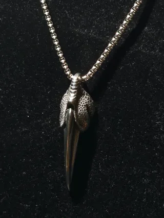 Collana artiglio argento