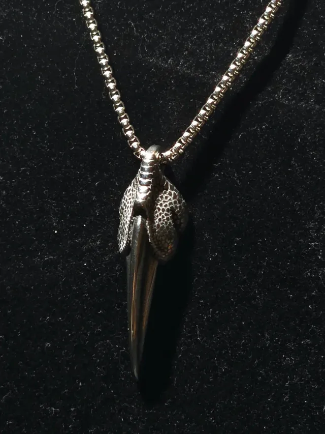 Collana artiglio argento