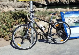 Bicicleta Giant Tipo Gravel