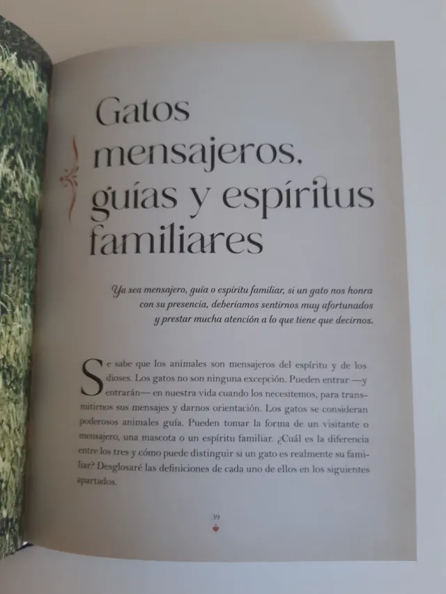 Libro La MAGIA DE LOS GATOS