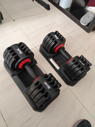 Banco de pesas, barra dominadas y mancuernas