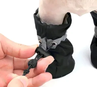 Botas Impermeables para Perro (4uds)
