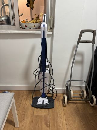 Vaporeta Limpiador a Vapor