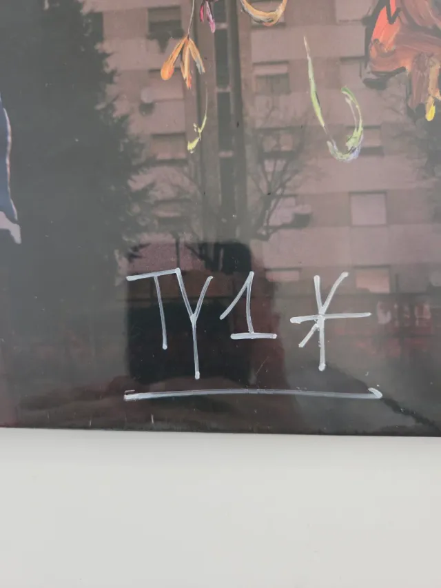 Vinile TY1 Djungle Autografato