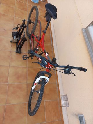 Bicicleta Megamo con rodillo