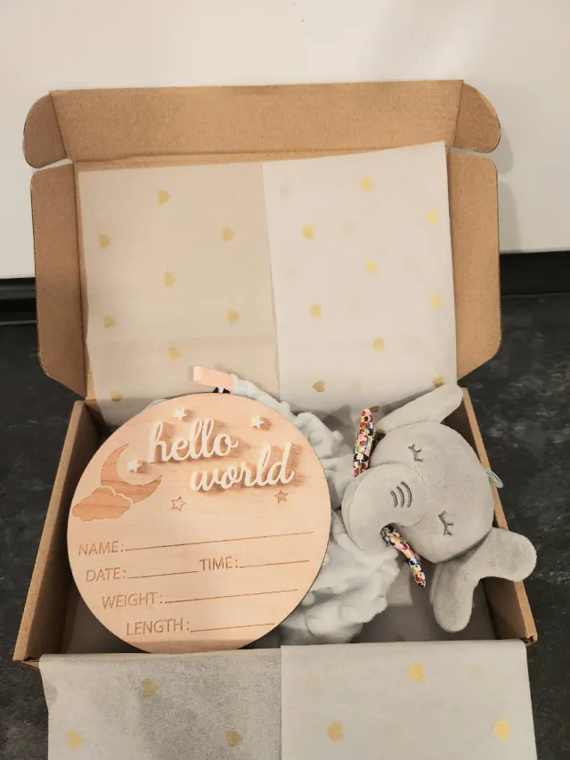 Pack Bienvenida Bebé Elefante y Aro Mordedor