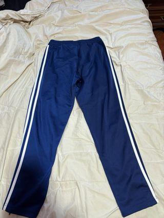 Chándal Adidas Azul