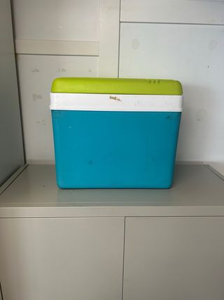 Nevera portátil de plástico 24 L