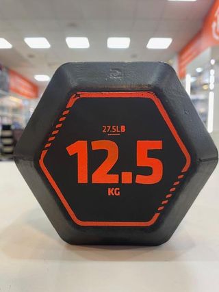 MANCUERNA DECATHLON 12.5KG / 27.5LB