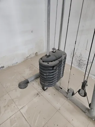 Máquina de pesas con discos