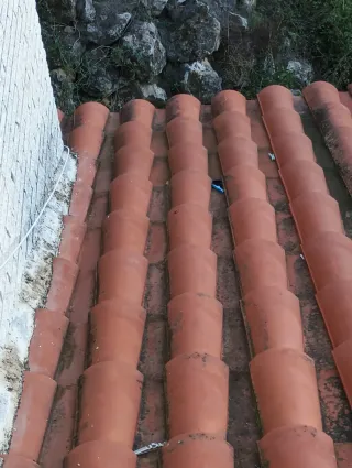 Servicios de reparación cubiertas: tejados y ter