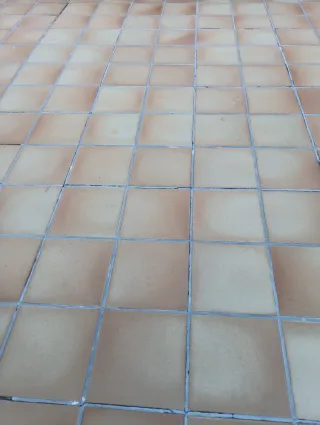 Servicios de reparación cubiertas: tejados y ter