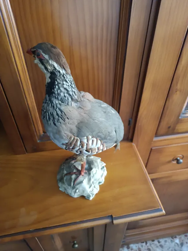 Figura de perdiz decorativa