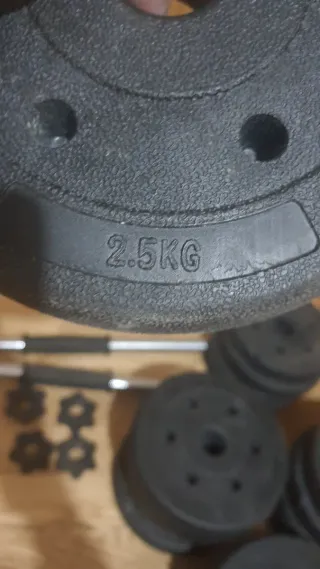 Mancuernas ajustables con discos y cierres