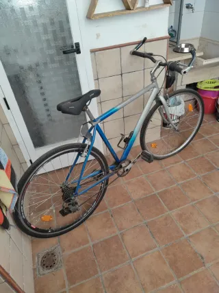 Bicicleta Híbrida Gris y Azul