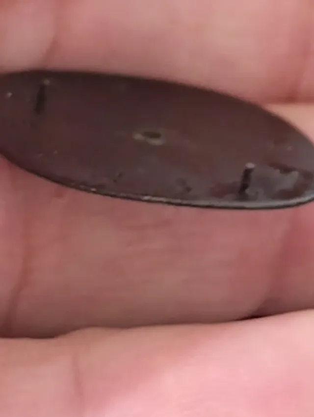 Esfera Omega Constellation Quartz Vintage