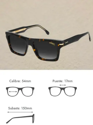 Gafas de sol Carrera unisex marrones