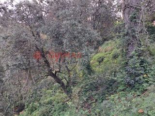 Terreno en venta en Torrelles de Llobregat