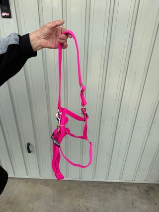 Capezza e Lunghina Cavallo Rosa