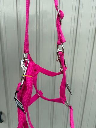 Capezza e Lunghina Cavallo Rosa