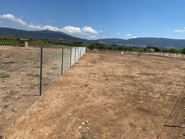 Parcela con buen vallado y agua de riego