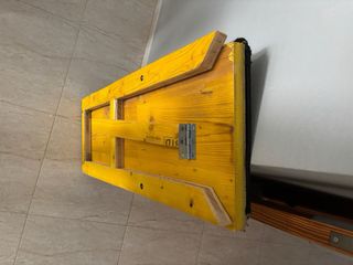 Rampa para perros y gatos