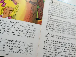 Lote Candy Candy anime