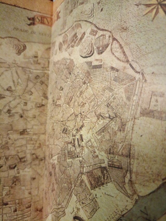 El elefante de marfil