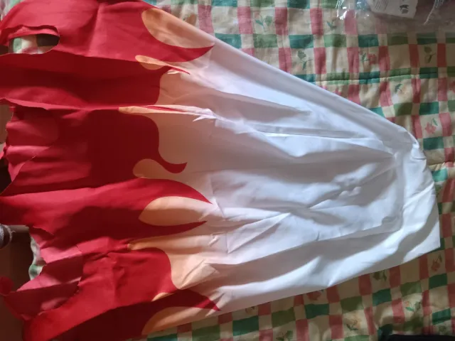 Rengoku Full Cosplay